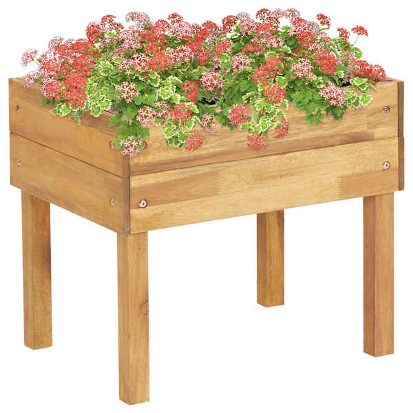 Taimekast 50 × 40 × 45 cm, õliviimistlusega akaatsiapuit – naturaalne puit
