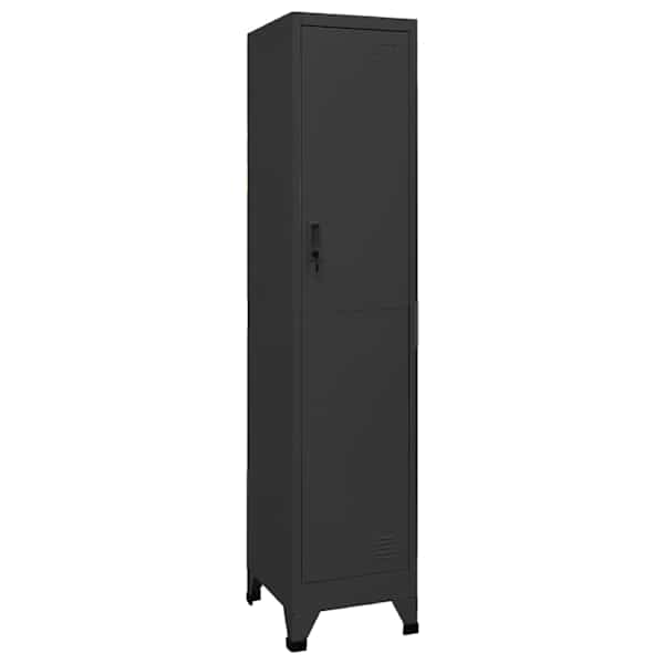 Lukustatav hoiukapp, antratsiithall, 38 × 45 × 180 cm, teras