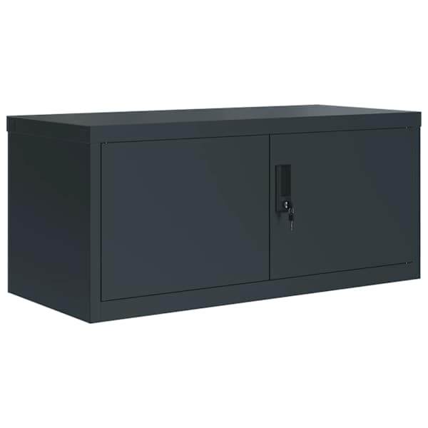 Dokumendikapp, antratsiithall, 90 × 40 × 110 cm, teras