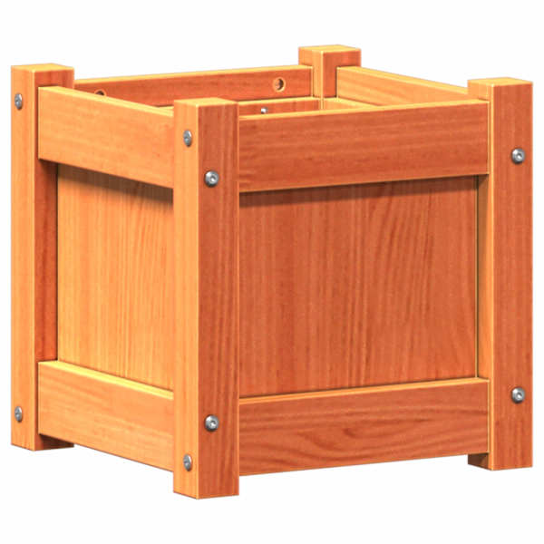 Taimekast 31 × 31 × 31 cm, täismännipuit – vahapruun