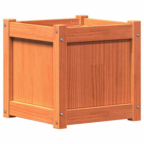 Taimekast 40 × 40 × 40 cm, täismännipuit – pruun