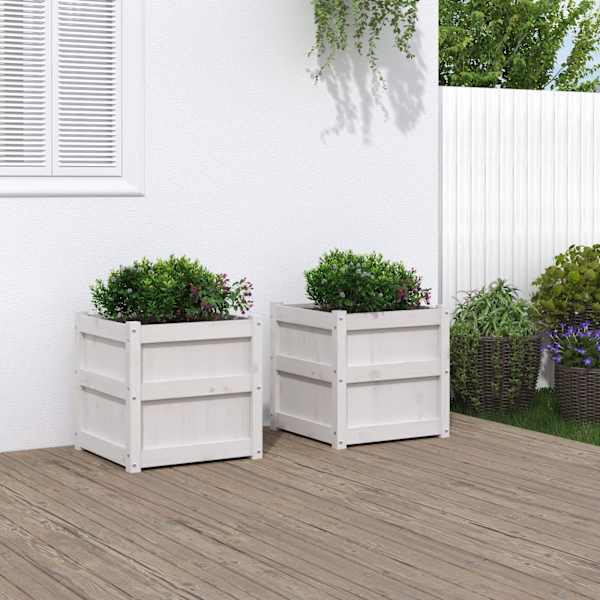 Taimekast 50 × 50 × 50 cm, täismännipuit – valge – 2 tk