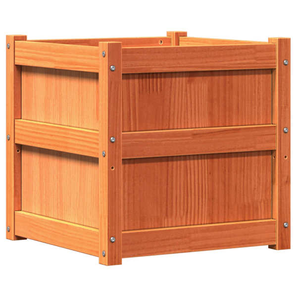 Taimekast 50 × 50 × 50 cm, täismännipuit – pruun