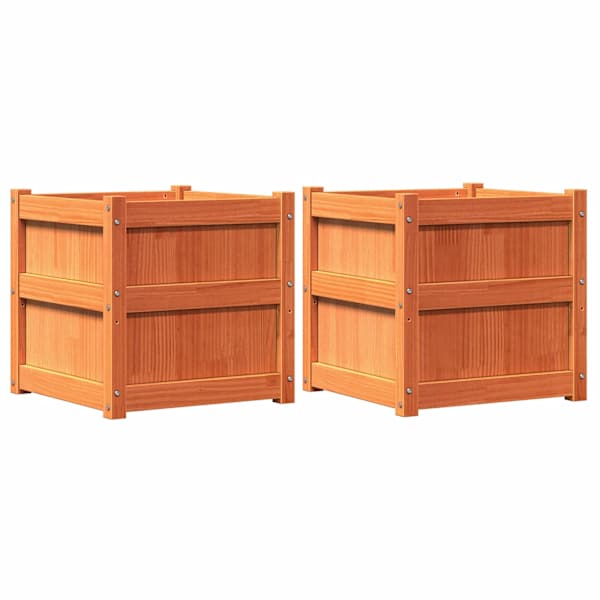 Taimekast 50 × 50 × 50 cm, täismännipuit – pruun – 2 tk