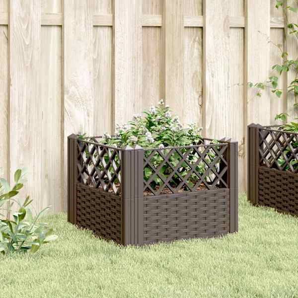 Taimekast 43,5 × 43,5 × 43,5 cm, PP (polüpropüleen) – pruun