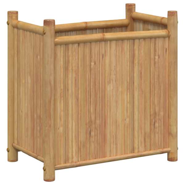 Taimekast 50 × 30 × 50 cm, naturaalse viimistlusega bambus