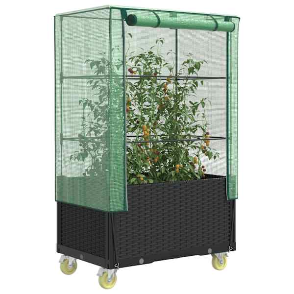 Taimekast kasvuhoonekattega 50 × 80 × 182 cm – must