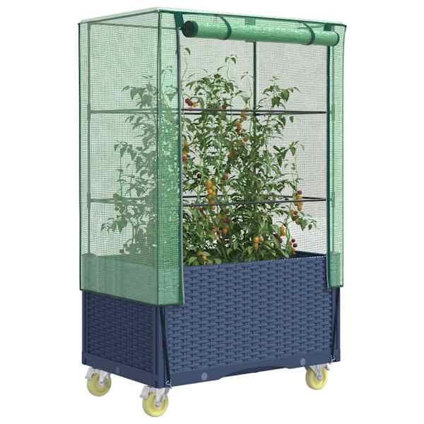 Taimekast kasvuhoonekattega 50 × 80 × 182 cm – sinakashall