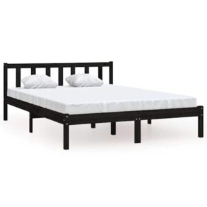 Mudel 810061