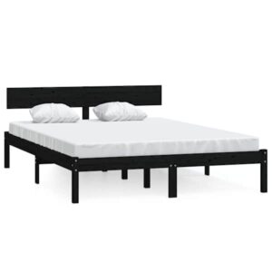 Mudel 810131