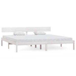 Mudel 810163