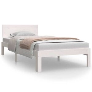 Mudel 810481