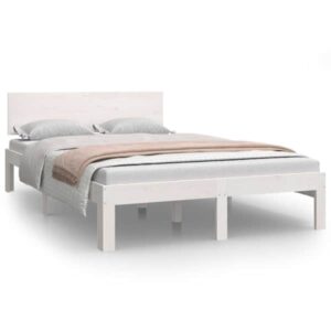 Mudel 810491
