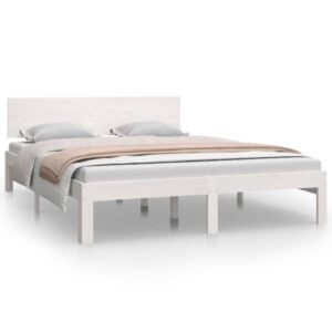 Mudel 810496