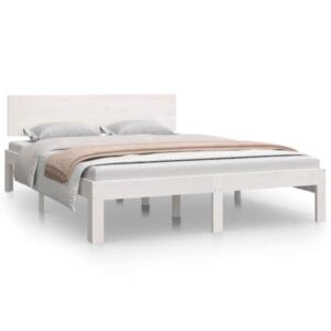 Mudel 810501