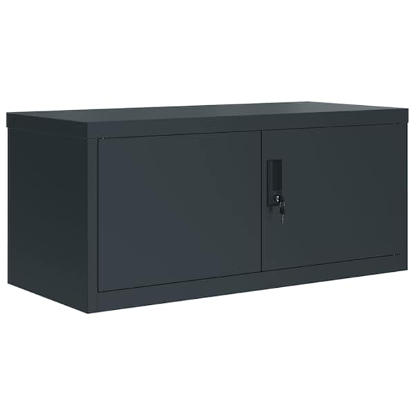 Dokumendikapp, antratsiithall, 90 × 40 × 130 cm, teras