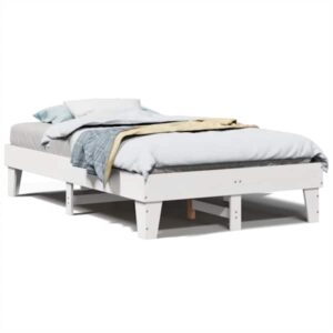 Mudel 855359
