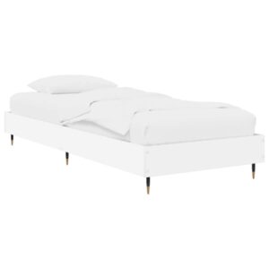 Mudel 8009043